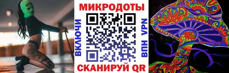 Купить где  Куровское  Псилоцибиновые грибы Cubensis 
